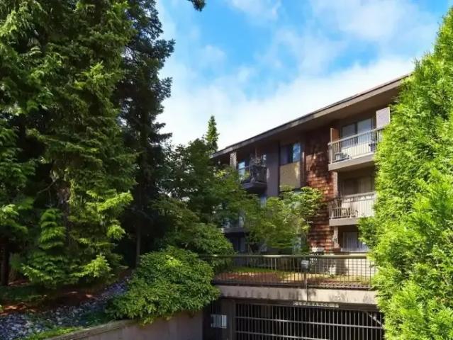 Apartment 1 Bedroom For Rent White Rock BC 1600 ELS102847125