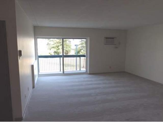 Apartment 1 Bedroom For Rent Winnipeg MB 1431 ES96587101