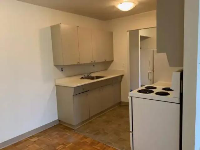 Apartment 1 Bedroom For Rent Winnipeg MB 950 ES104875341