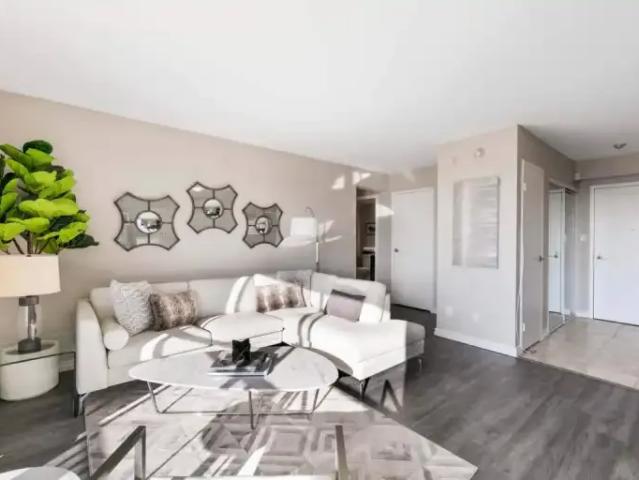 Apartment 1 Bedroom For Rent Windsor ON 1649 ELS98489571