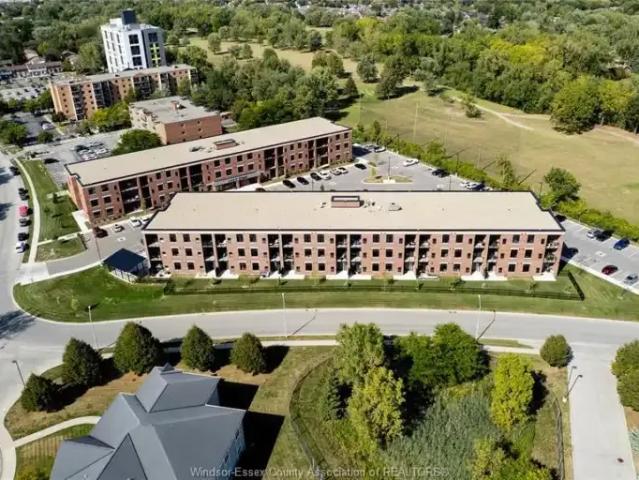 Apartment 1 Bedroom For Rent Windsor ON 1725 ELS102795015