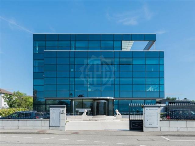 Große Büros Le Grand Saconnex