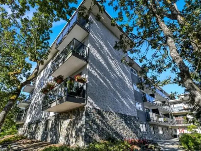 Apartment 2.5 Bedroom For Rent Victoria BC 2635 ES103651799
