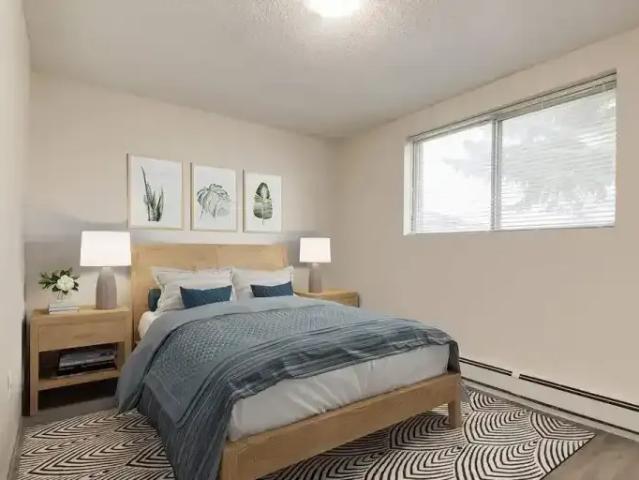 Apartment 2 Bedroom For Rent Medicine Hat AB 1385 ES103878645