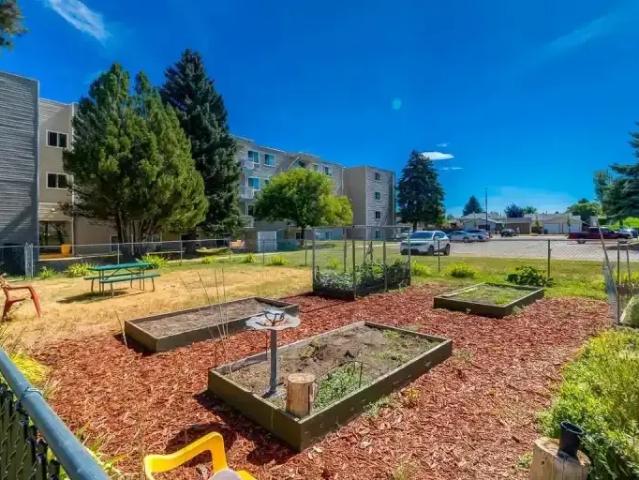 Apartment 2 Bedroom For Rent Medicine Hat AB 1410 ES104841012