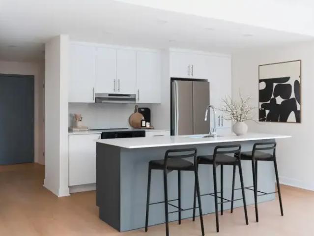 Apartment 2 Bedroom For Rent Montreal QC 2250 ES96589603