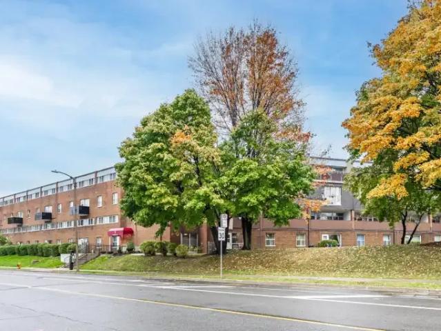 Apartment 2 Bedroom For Rent North York ON 2147 ELS101773186