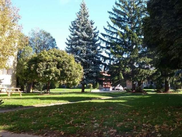 Apartment 2 Bedroom For Rent Burlington ON 2000 ELS96585912