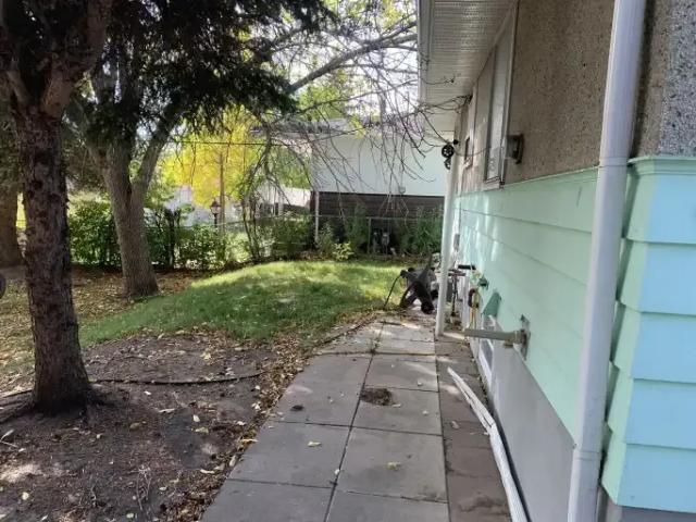 Apartment 2 Bedroom For Rent Calgary AB 1000 ELS101948296