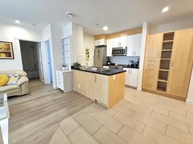 Apartment 2 Bedroom For Rent Calgary AB 1590 ES104824351