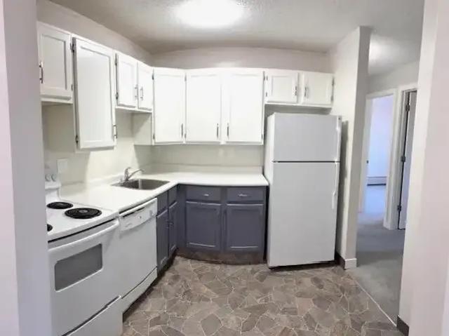 Apartment 2 Bedroom For Rent Calgary AB 1500 ES100007016
