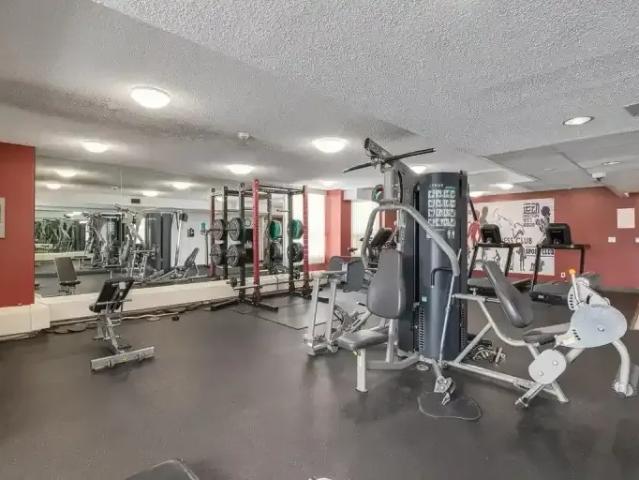 Apartment 2 Bedroom For Rent Calgary AB 1680 ES103011473