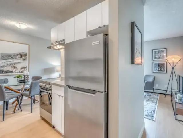 Apartment 2 Bedroom For Rent Calgary AB 1600 ES100562694