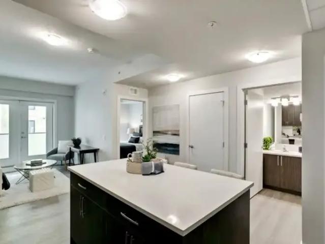 Apartment 2 Bedroom For Rent Calgary AB 2163 ES98259303