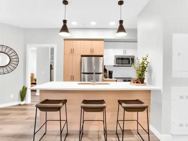 Apartment 2 Bedroom For Rent Calgary AB 2316 ELS102882948