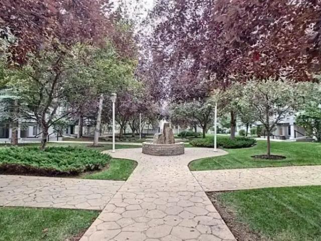 Apartment 2 Bedroom For Rent Calgary AB 2495 ES105004411