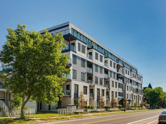 Apartment 2 Bedroom For Rent Calgary AB 2567 ELS91518296
