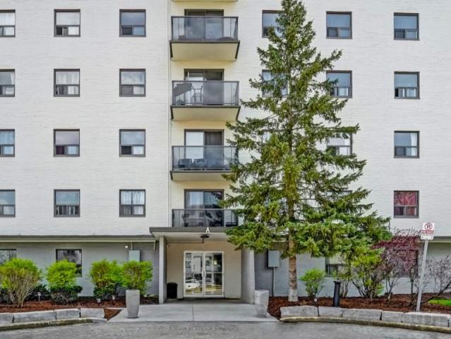 Apartment 2 Bedroom For Rent Cambridge ON 1875 ES103341731