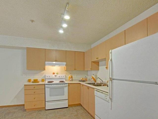 Apartment 2 Bedroom For Rent Camrose AB 1585 ES95294200