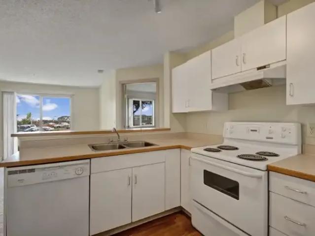 Apartment 2 Bedroom For Rent Edmonton AB 1425 ES101789134
