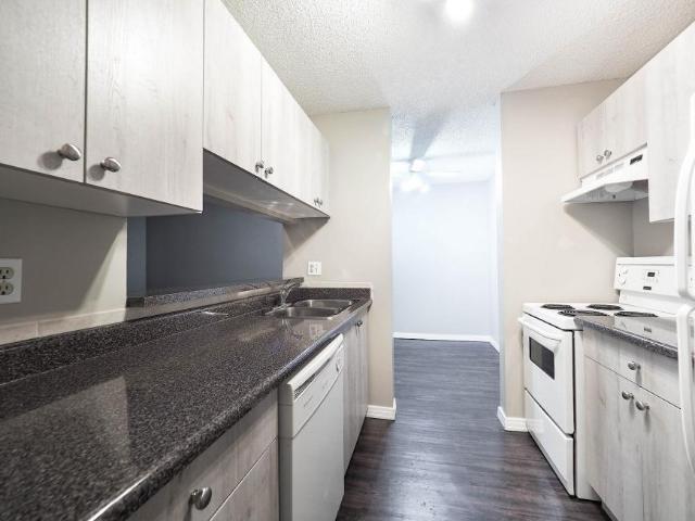Apartment 2 Bedroom For Rent Edmonton AB 1450 ELS98311770