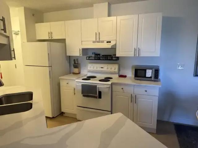 Apartment 2 Bedroom For Rent Edmonton AB 1450 ES102468185