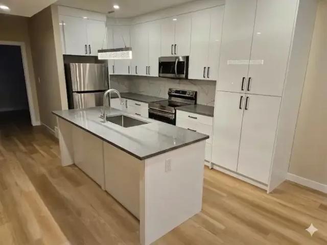 Apartment 2 Bedroom For Rent Edmonton AB 1450 ES103424345