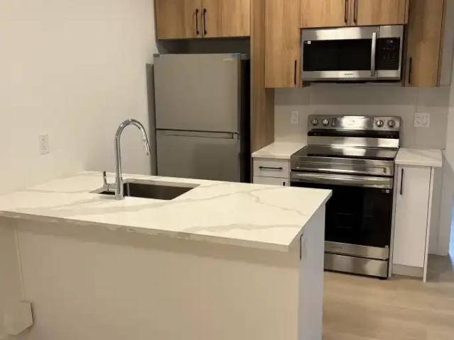Apartment 2 Bedroom For Rent Edmonton AB 1450 ES104991438