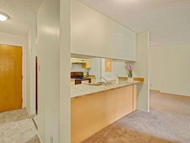 Apartment 2 Bedroom For Rent Edmonton AB 1510 ELS96685705
