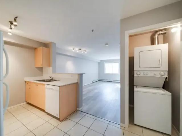 Apartment 2 Bedroom For Rent Edmonton AB 1595 ES103322196
