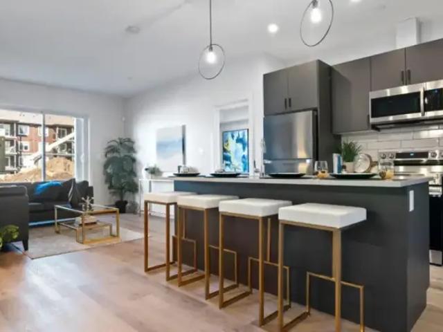 Apartment 2 Bedroom For Rent Edmonton AB 1605 ES97969922