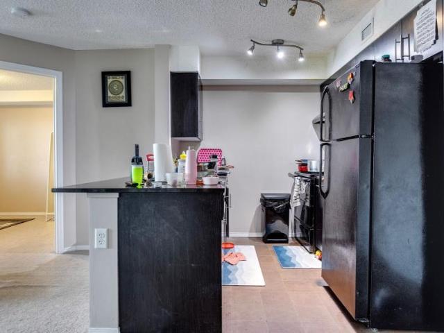 Apartment 2 Bedroom For Rent Edmonton AB 1614 ES98313195