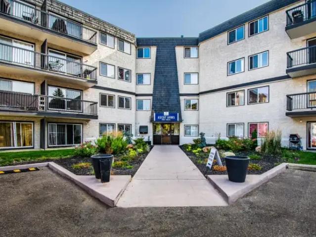 Apartment 2 Bedroom For Rent Edmonton AB 1669 ES103151444