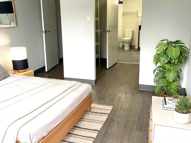 Apartment 2 Bedroom For Rent Edmonton AB 1700 ELS98309240