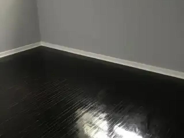 Apartment 2 Bedroom For Rent Edmonton AB 1195 ES102113660