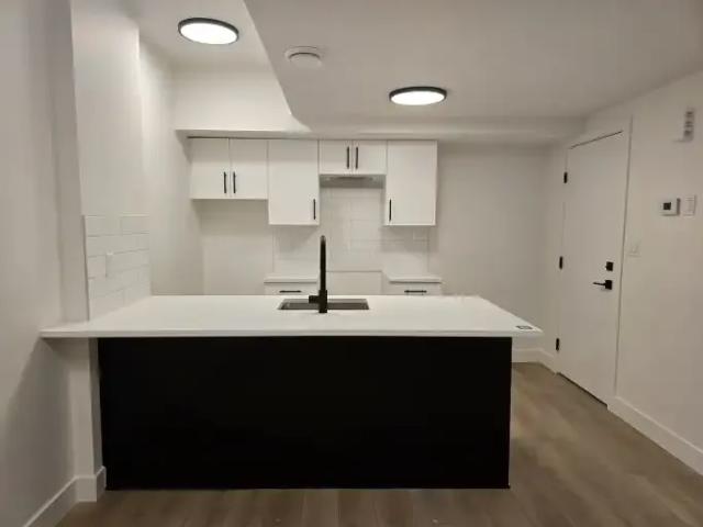 Apartment 2 Bedroom For Rent Edmonton AB 1200 ES104181660