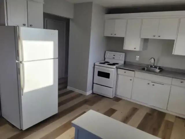 Apartment 2 Bedroom For Rent Edmonton AB 1250 ES98631406