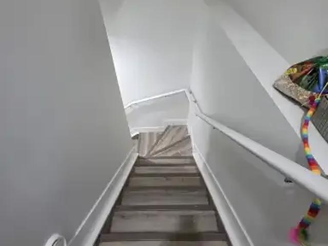 Apartment 2 Bedroom For Rent Edmonton AB 1250 ES103611657