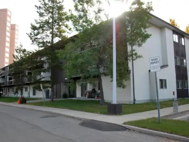 Apartment 2 Bedroom For Rent Edmonton AB 1295 ES100974039