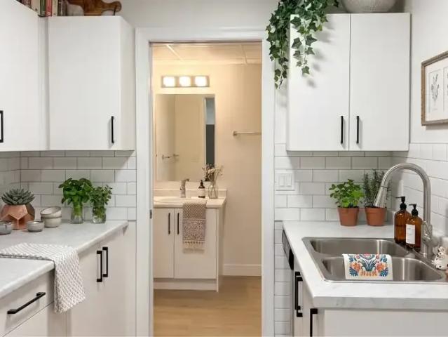 Apartment 2 Bedroom For Rent Edmonton AB 1295 ES102658366