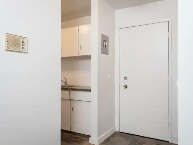 Apartment 2 Bedroom For Rent Edmonton AB 1300 ES103322471