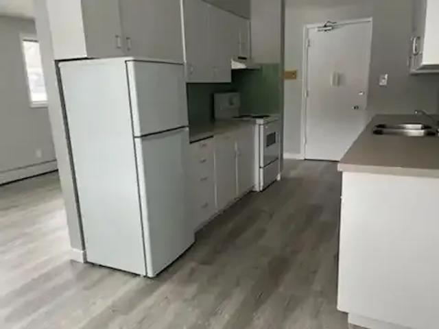 Apartment 2 Bedroom For Rent Edmonton AB 1350 ES104433541