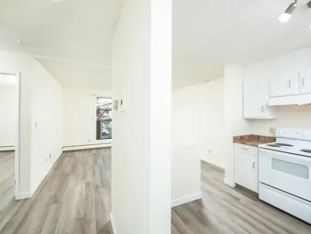 Apartment 2 Bedroom For Rent Edmonton AB 1350 ES104597395