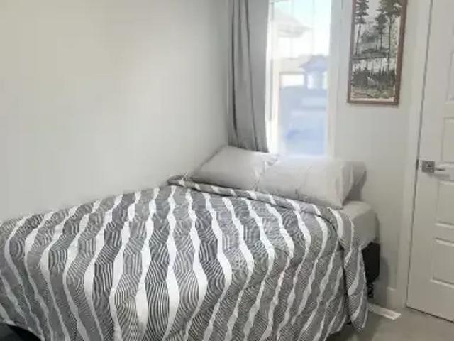 Apartment 2 Bedroom For Rent Edmonton AB 850 ELS100120866