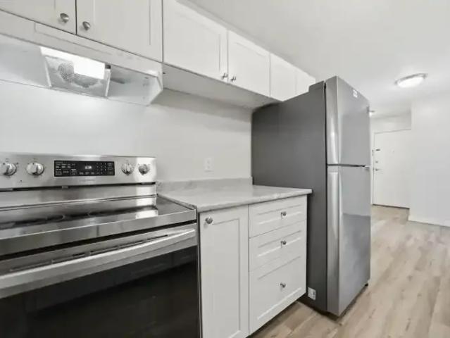 Apartment 2 Bedroom For Rent Prince Albert SK 1359 ES103010816