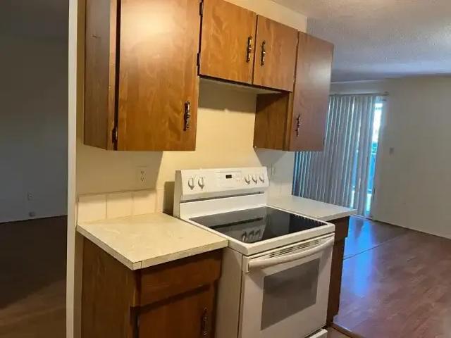 Apartment 2 Bedroom For Rent Red Deer AB 1395 ES102883486