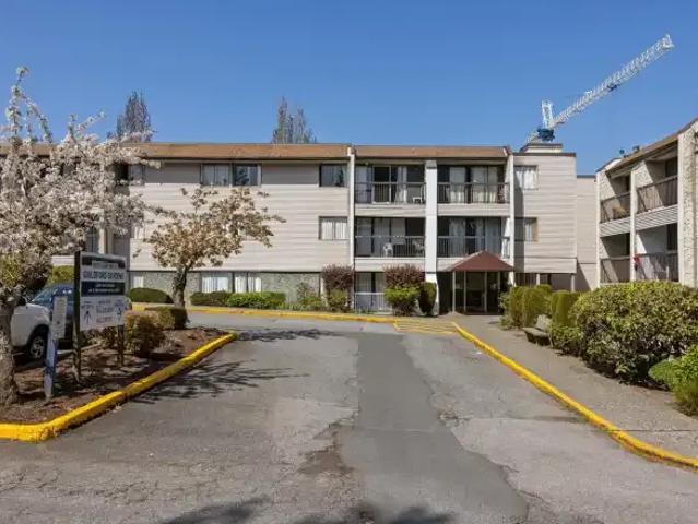 Apartment 2 Bedroom For Rent Surrey BC 2215 ELS103118139
