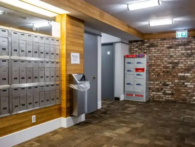 Apartment 2 Bedroom For Rent Saanich BC 2385 ELS102700499