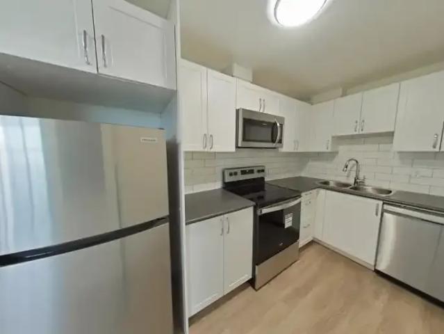 Apartment 2 Bedroom For Rent Scarborough ON 2164 ES102883225