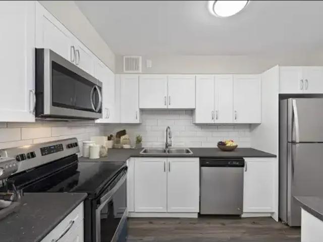 Apartment 2 Bedroom For Rent Toronto ON 2544 ES103694009